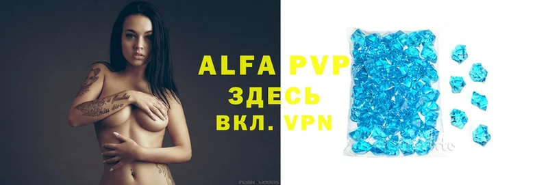 A-PVP СК  Карачаевск 