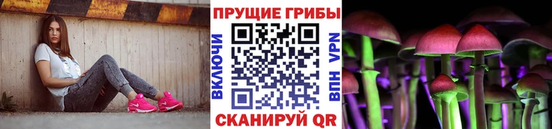 Псилоцибиновые грибы ЛСД  Карачаевск 
